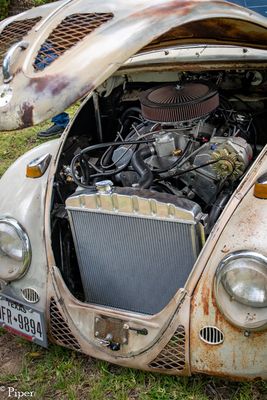 DSC_1322.jpg