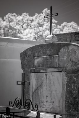 DSC_0194.jpg