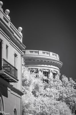 DSC_0249.jpg