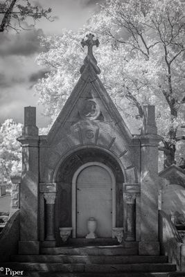 DSC_0304.jpg