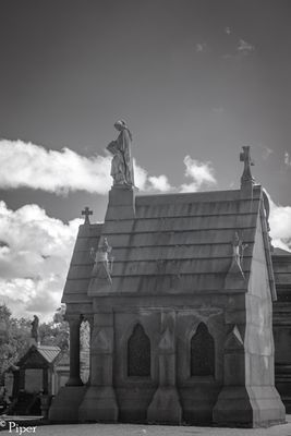 DSC_0336.jpg