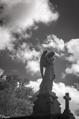 DSC_0376.jpg