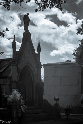 DSC_0387.jpg