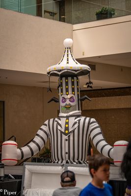 DSC_1372.jpg