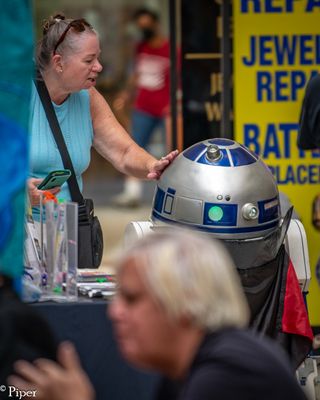 DSC_1384.jpg