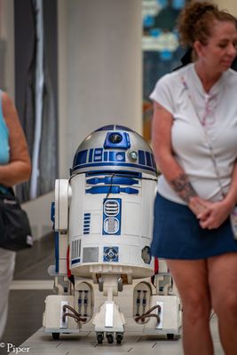 DSC_1388.jpg