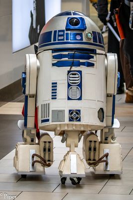 DSC_1395.jpg