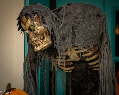 DSC_1415.jpg
