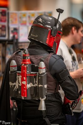 DSC_1595.jpg