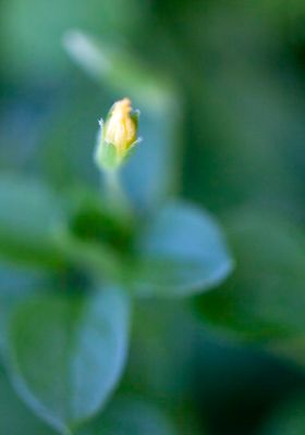 IMG_0961.JPG