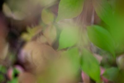IMG_1156.JPG