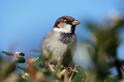 BYZ07477a.jpg