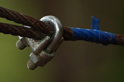 18 june BYZ08712a.jpg