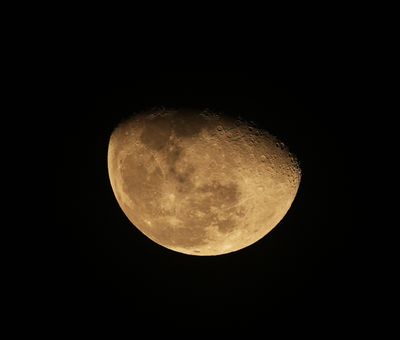 5 november BZZ01655a.jpg