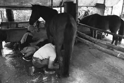 ALO GETS SHOD