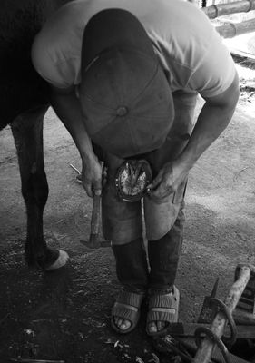 BOY09797a.jpg