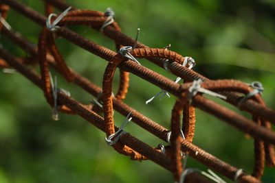 ARAWANG LARAWAN : ONE PHOTO A DAY
