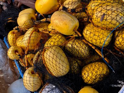 ARAWANG LARAWAN : ONE PHOTO A DAY