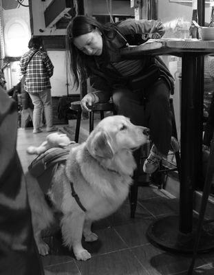 :: TAIPEI ON MY MIND ::