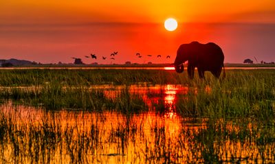 Africa