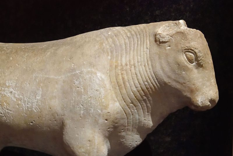 Istanbul Archaeology Museum Statue of a bull, Marble, Mid 6th C BCE Miletus 3548.jpg