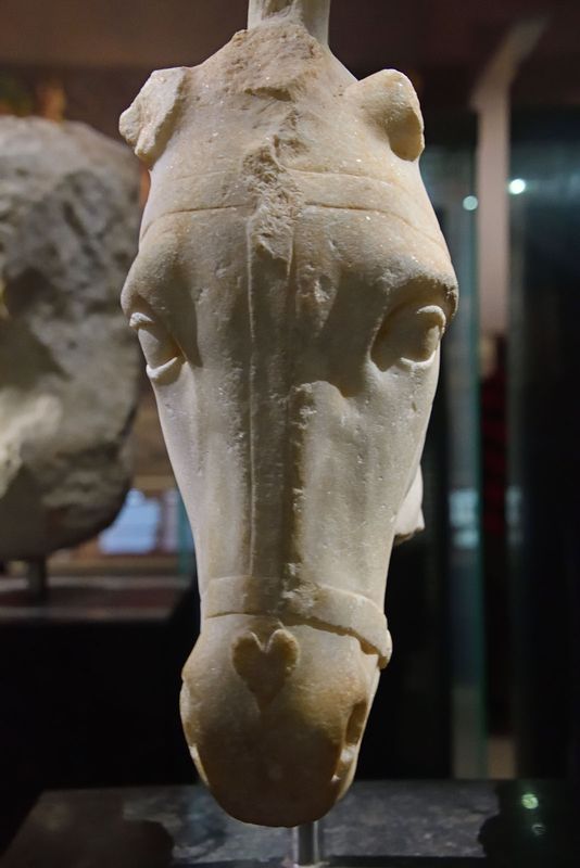 Istanbul Archaeology Museum Horses head 2nd half  5th C BCE 3606.jpg