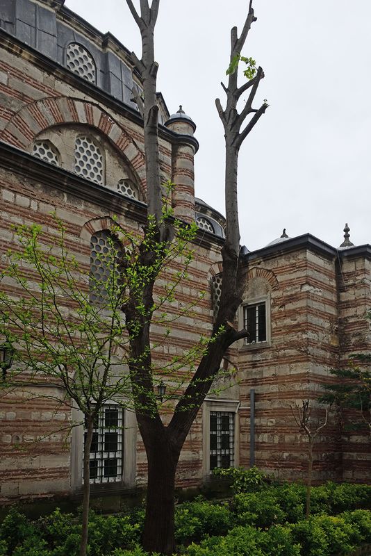 Istanbul Mehmet Aga mosque 4245.jpg