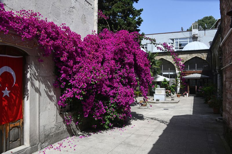 Istanbul Kprl Complex Mosque and courtyard in 2024 6674.jpg