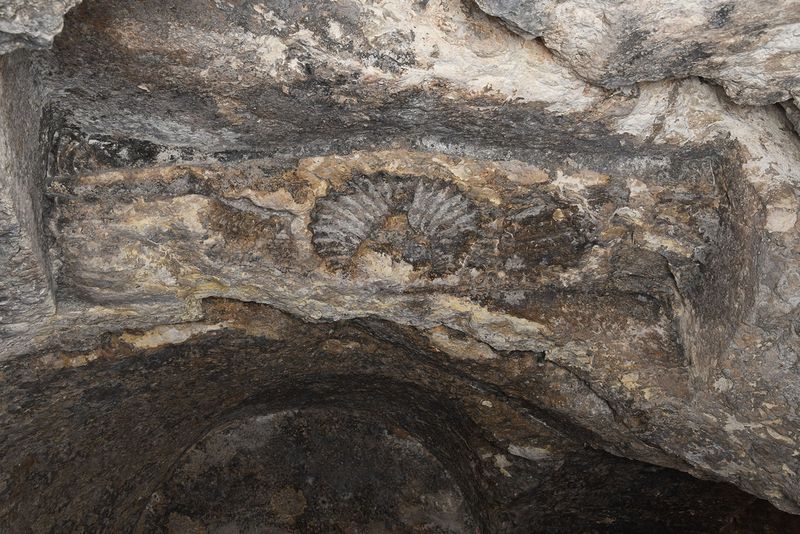 Şanlıurfa Kızılkoyun Necropolis Chamber M13 Peacock pediment In 2024 7786.jpg