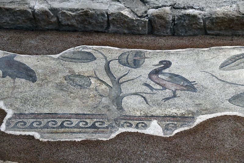 Urfa Haleplibahe Mosaic Museum Achiilles mosaic border 2024 7423.jpg