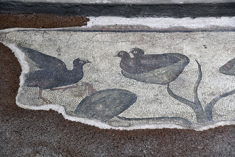 Urfa Haleplibahe Mosaic Museum Achiilles mosaic border 2024 7425.jpg