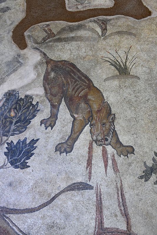 Urfa Haleplibahe Mosaic Museum Hunting Amazons mosaic 2024 7431.jpg