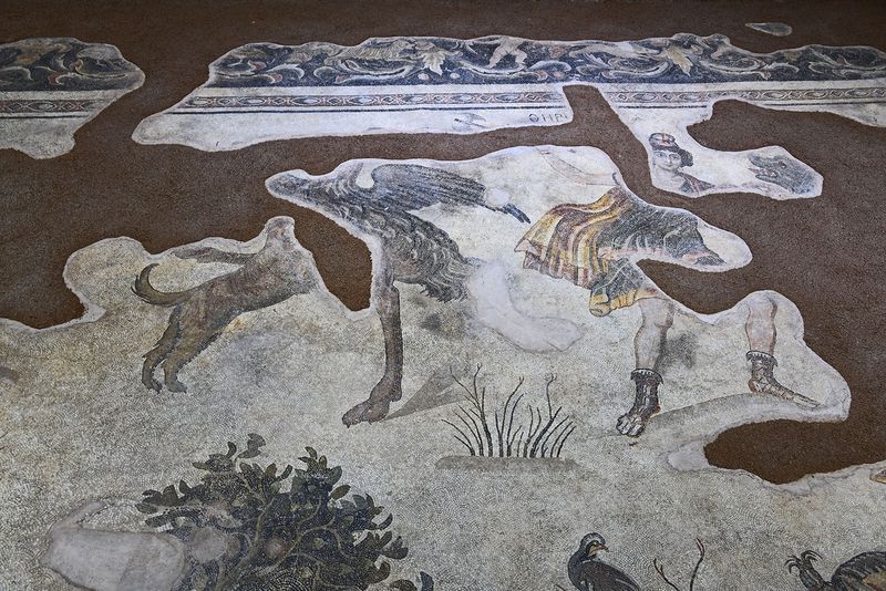Urfa Haleplibahe Mosaic Museum Hunting Amazons mosaic 2024 7430.jpg