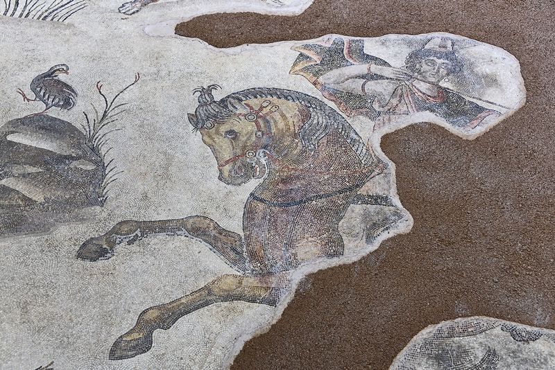 Urfa Haleplibahe Mosaic Museum Hunting Amazons mosaic 2024 7429.jpg