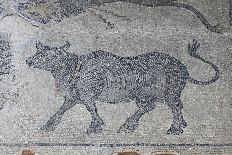 Urfa Haleplibahe Mosaic Museum Harran Gate mosaic 2024 7433.jpg