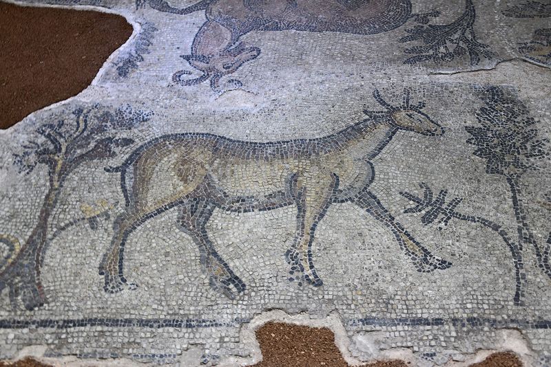 Urfa Haleplibahe Mosaic Museum Harran Gate mosaic 2024 7434.jpg