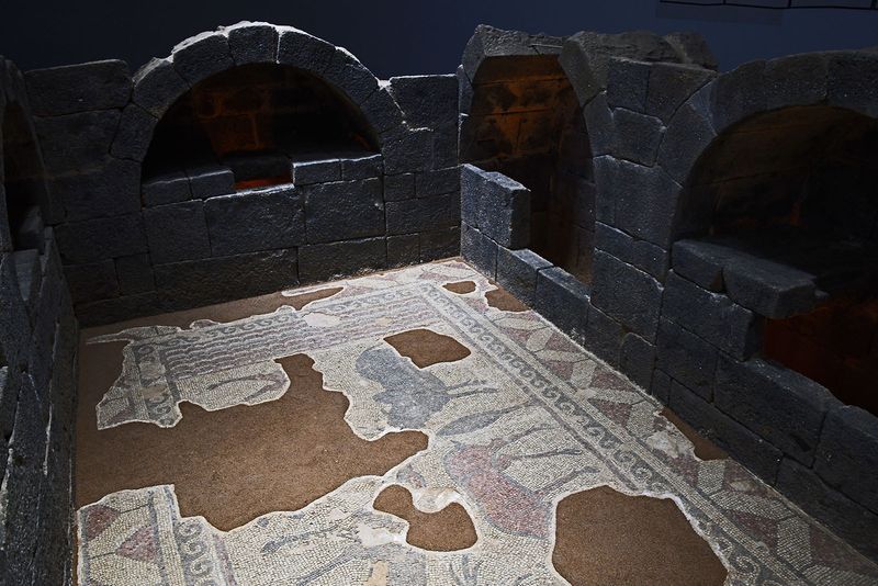 Urfa Haleplibahe Mosaic Museum Yorbilen mosaic 2024 7440.jpg