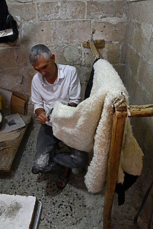 Urfa Markets area Sheepskin sheering 2024 7615.jpg