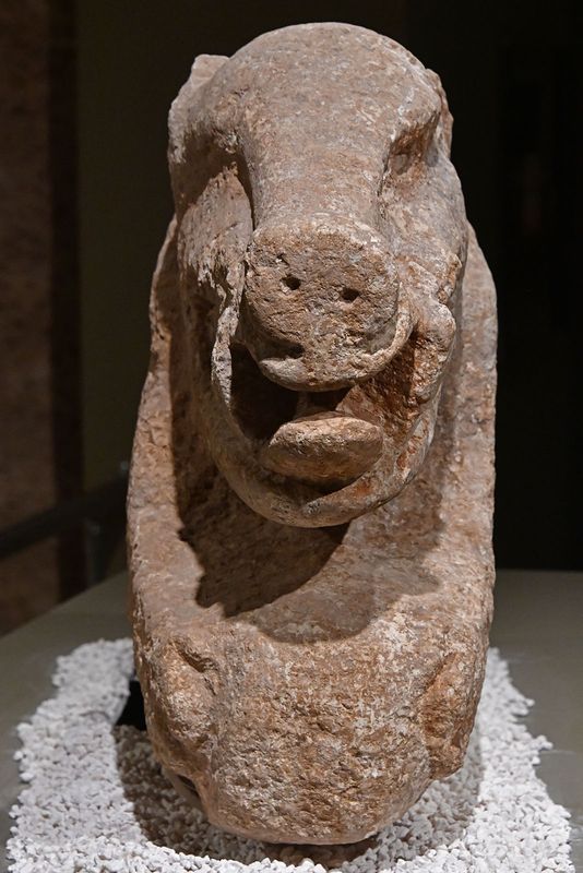 Urfa museum Gbeklitepe Painted boar statue Neolithic Age from Building D in 2024 7327.jpg