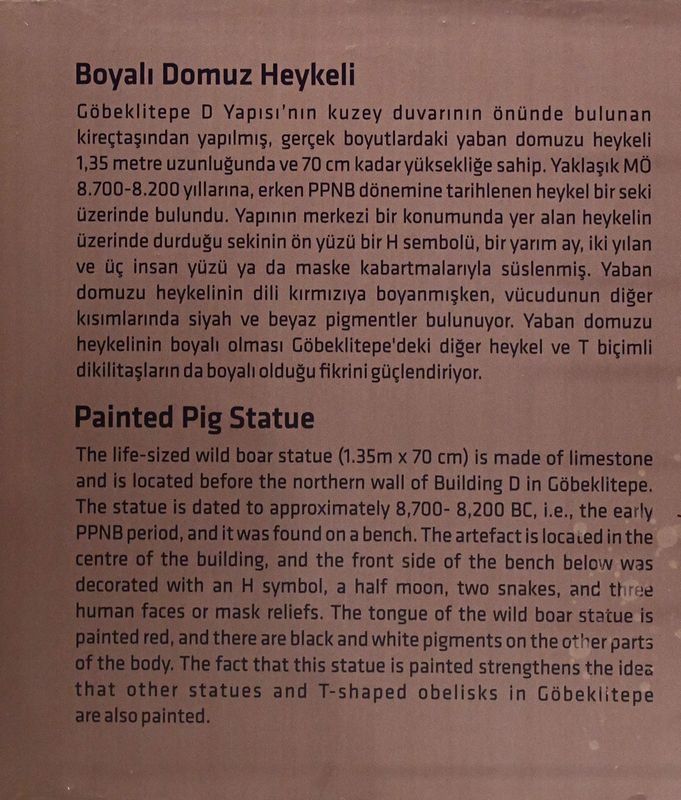 Urfa museum Gbeklitepe Painted boar statue Neolithic Age from Building D text in 2024 7332.jpg