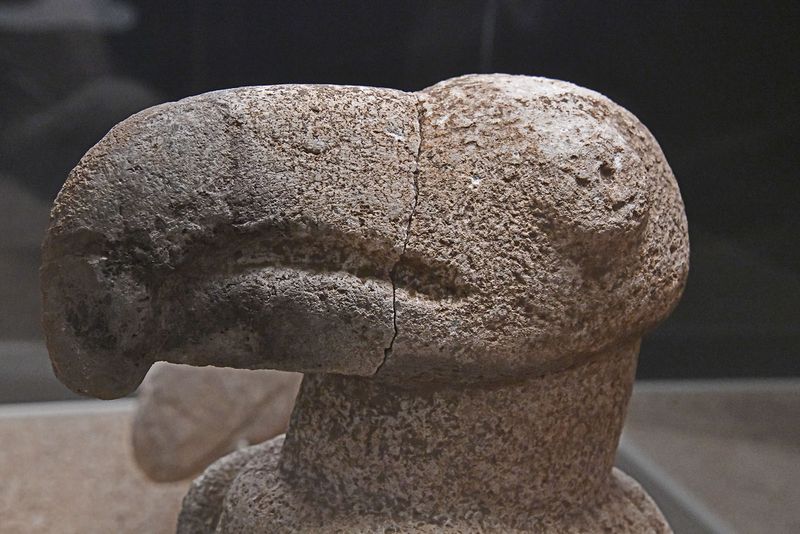 Urfa museum Karahantepe Head of Vulture Neolithic age in 2024 7309.jpg