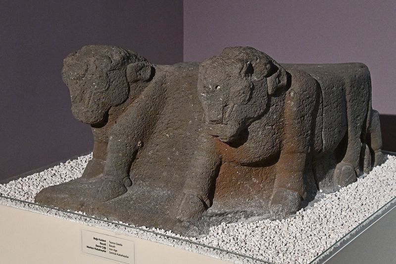 Urfa museum Late-Hittite Taurus base from Central-Kabahaydar Iron Age in 2024 7524.jpg