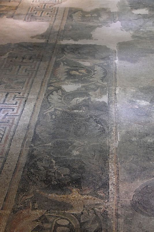 Gaziantep Zeugma museum Maybe Akdeğirmen mosaic in 2024 7916.jpg
