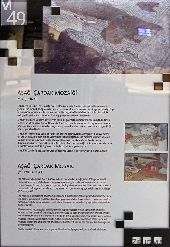 Gaziantep Zeugma Museum Aşağı ardak mosaic in 2024 7924.jpg