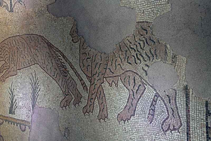 Gaziantep Zeugma Museum Ikizkuyu mosaic in 2024 7932.jpg