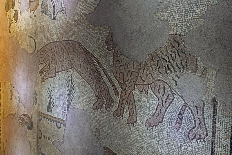 Gaziantep Zeugma Museum Ikizkuyu mosaic in 2024 7933.jpg