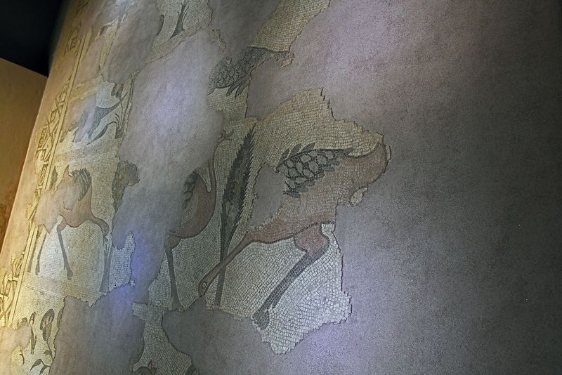 Gaziantep Zeugma Museum Ikizkuyu mosaic in 2024 7934.jpg