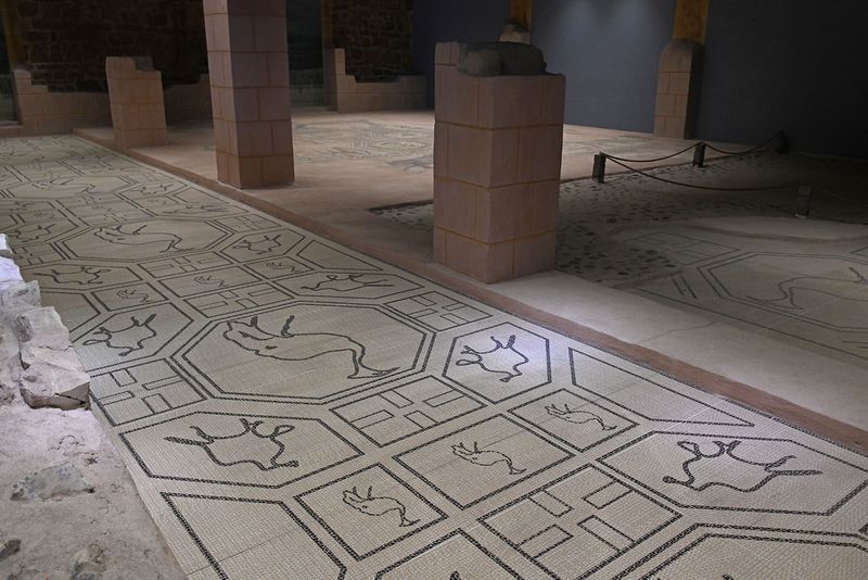 Gaziantep Zeugma Museum Ikizkuyu mosaic in 2024 7936.jpg