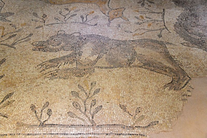 Gaziantep Zeugma Mosaic Museum Kolu mosaic in 2024 7957.jpg