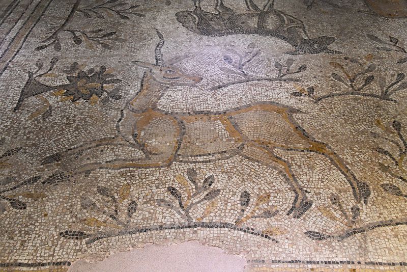 Gaziantep Zeugma Mosaic Museum Kolu mosaic in 2024 7960.jpg